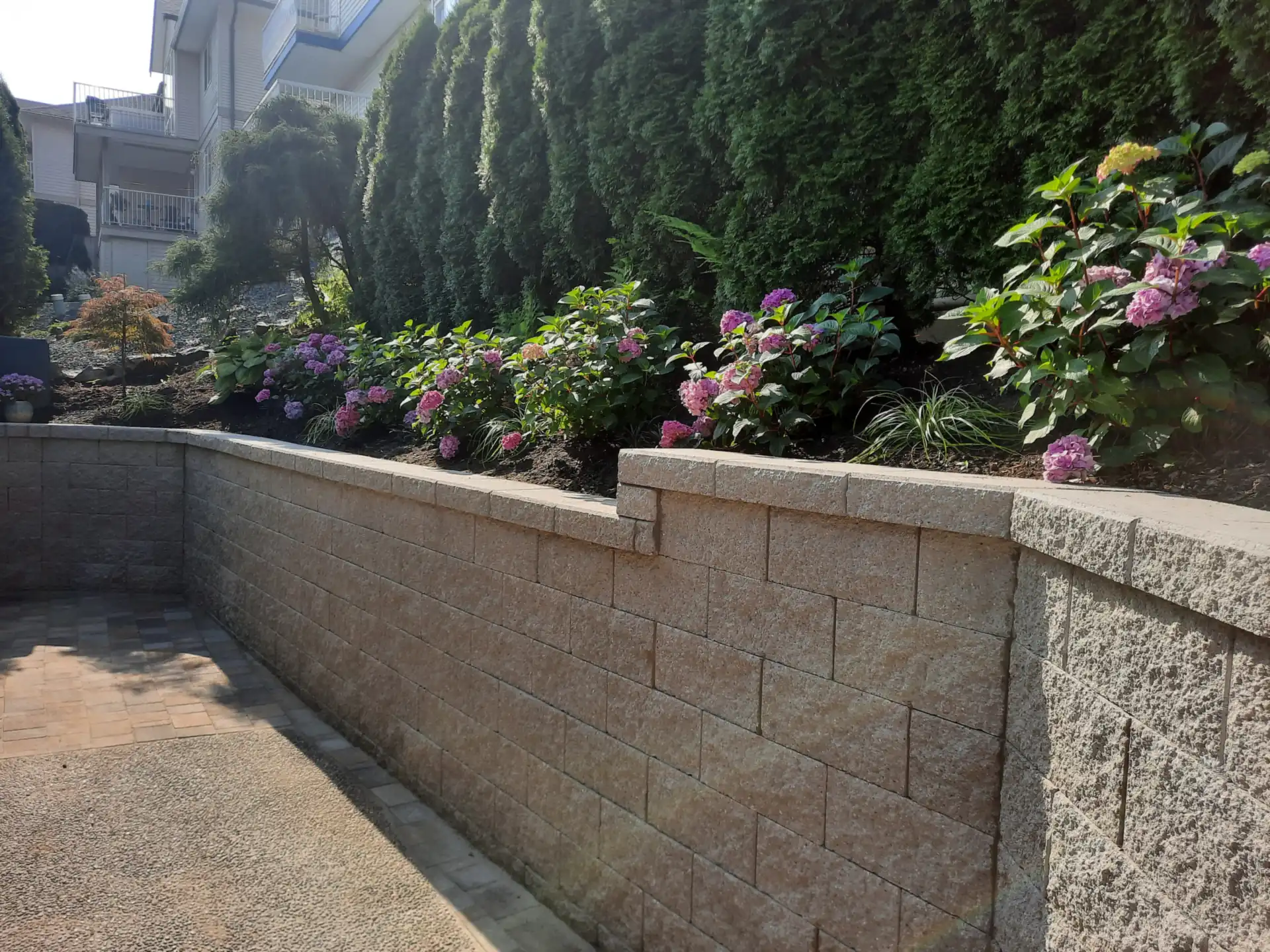 Split-face block retaining wall holding a raised hydrangea bed under a cedar hedge — retaining wall by Blades Landscaping