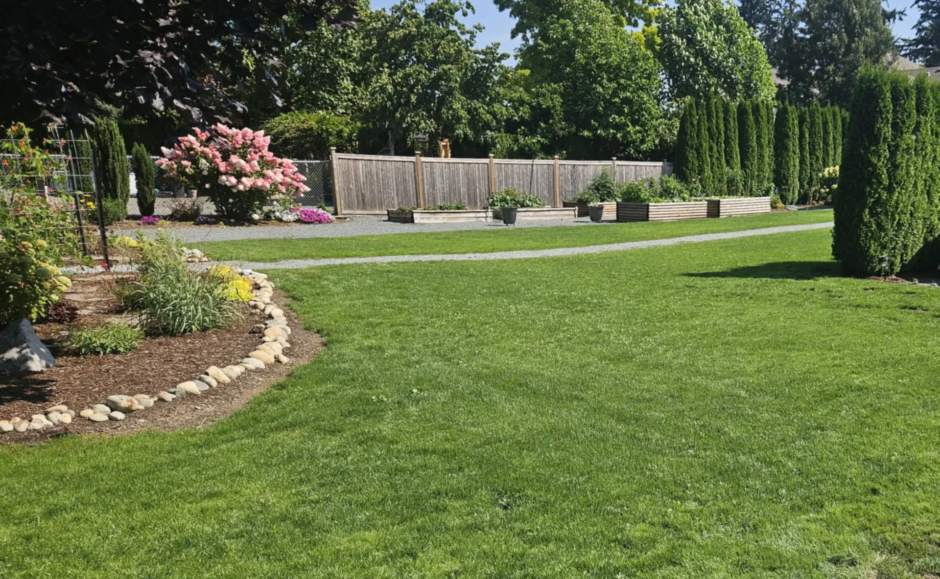 Thick, green lawn grown in beside a gravel path — lawn care and lawn installation by Blades Landscaping, Chilliwack