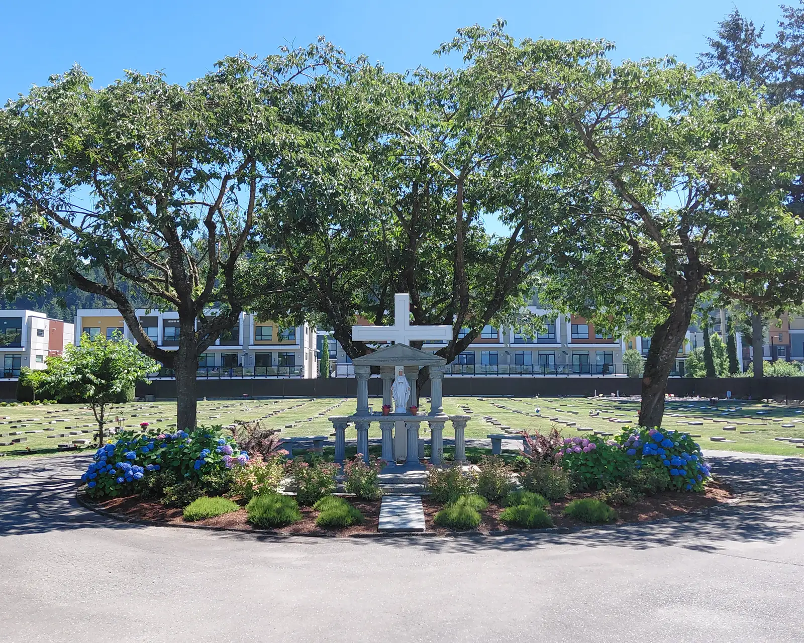 Memorial garden bed of blue hydrangeas, shrubs and grasses in fresh mulch around the statue and cross, in a paved roundabout.