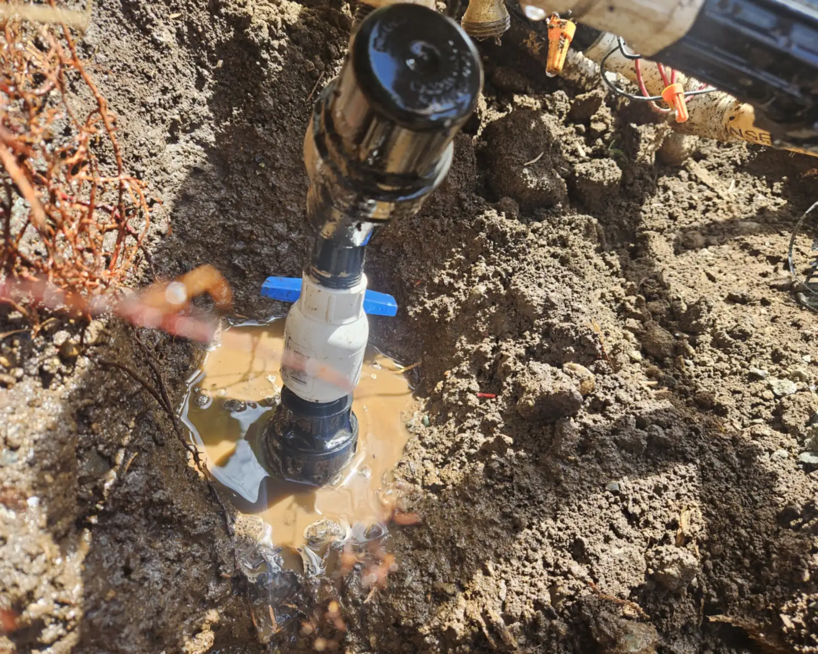 Sprinkler head and its fittings dug out in a muddy hole during a sprinkler head repair