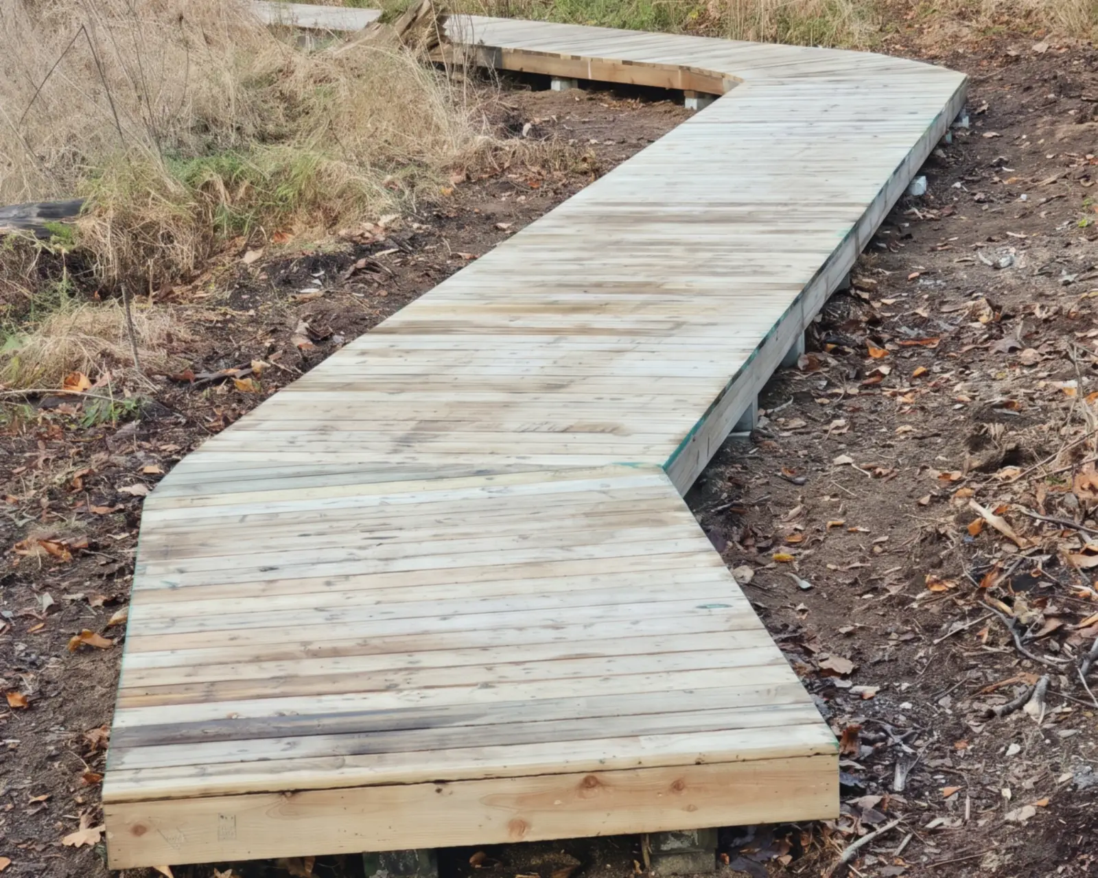 Finished wooden zig-zag boardwalk extension across open ground beside dry grass in Agassiz