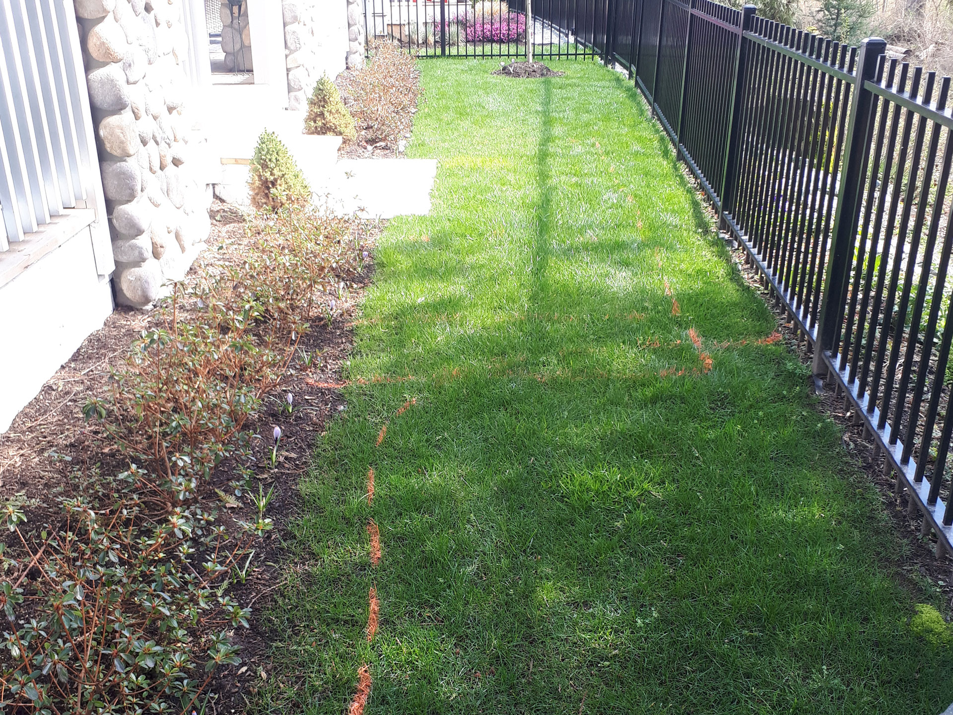 Project Stolar Backyard Renovation · Blades Landscaping