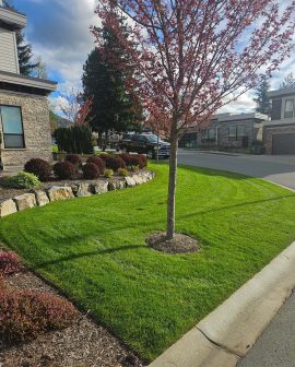 1000031002 1000031002